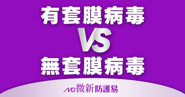 病毒套膜1